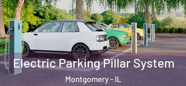 Electric Parking Pillar System Montgomery - IL