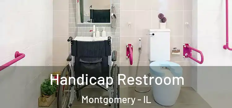Handicap Restroom Montgomery - IL