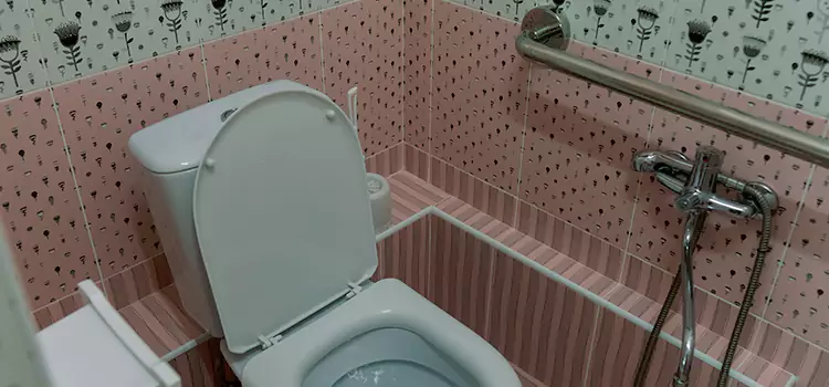 Meeting Diverse Needs With Accessible Restroom Solutions in Montgomery, IL